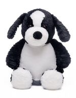 Baby Border Collie