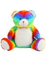 Teddybär Regenbogen